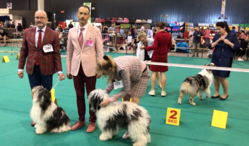 65 ème Golden Dog Trophy, des maîtres et des toutous au poil