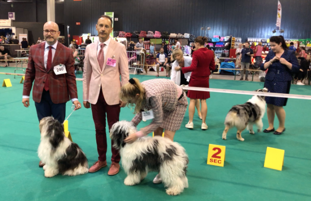 65 ème Golden Dog Trophy, des maîtres et des toutous au poil