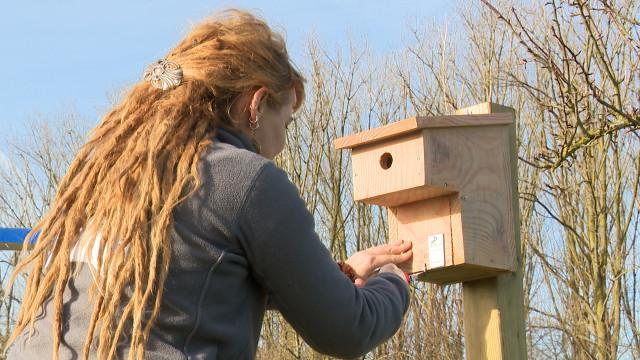 80 nichoirs installés dans le Parc Naturel Burdinale-Mehaigne