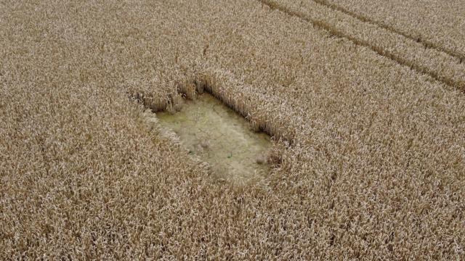 Le Parc Naturel Burdinale-Mehaigne s'adapte au changement climatique
