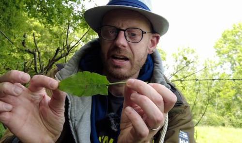 Des saveurs cachées aux bords de nos sentiers 