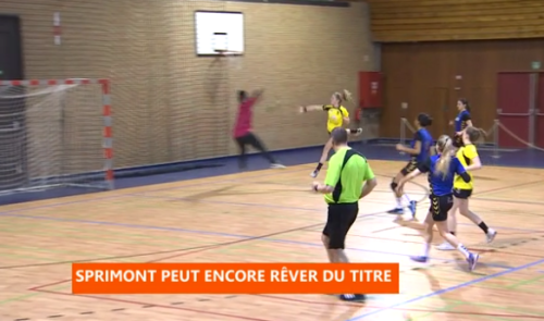 Handball : Bressoux - Sprimont