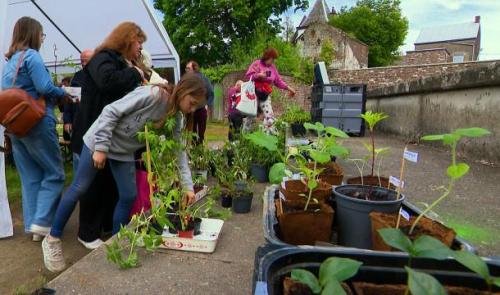 Amay : troc de plantes et de savoir pour jardiner solidaire 