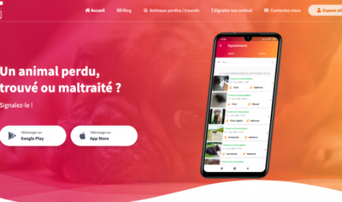 Animal Research localise les animaux perdus 