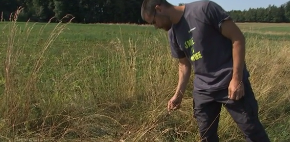 Anthisnes : restaurer le bocage pour la biodiversité 