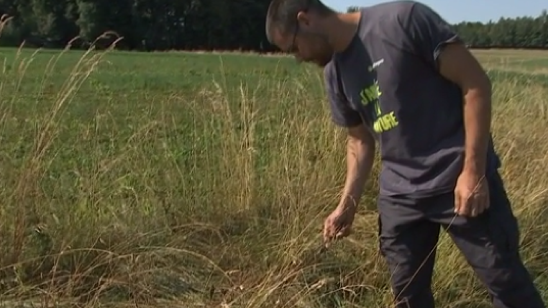 Anthisnes : restaurer le bocage pour la biodiversité 