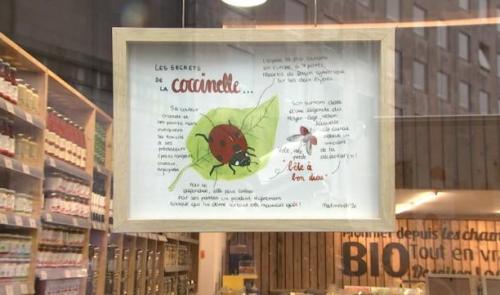 Les artistes s'exposent dans des lieux inédits