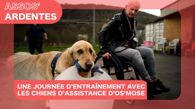Assos' Ardentes : entraînement avec les chiens d'assistance d'Os'mose