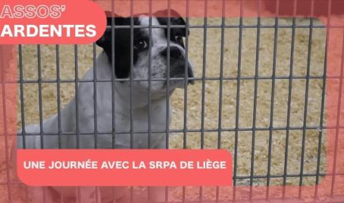 Assos' Ardentes: une journée avec la SRPA de Liège