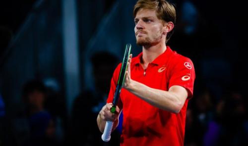 ATP Montpellier : David Goffin en demi-finale