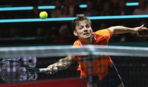 ATP Rotterdam : David Goffin sorti au 2e tour