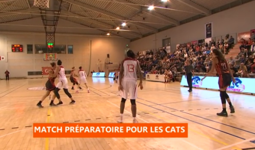 Basket : Belgique - Turquie (dames)