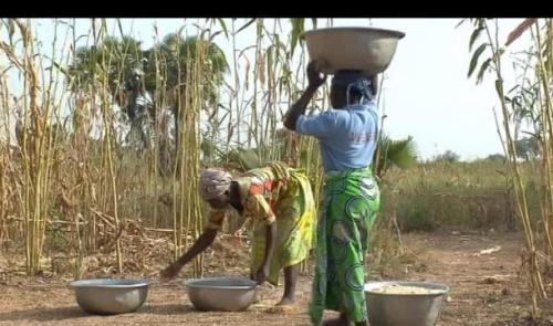 Bénin : les Iles de Paix travaillent à la formation des agriculteurs
