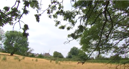 Beyne-Heusay : lotissement en site paysager de la Région Wallonne.