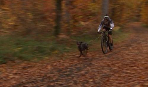 Bike-Joering : un Liégeois vice-champion du monde 