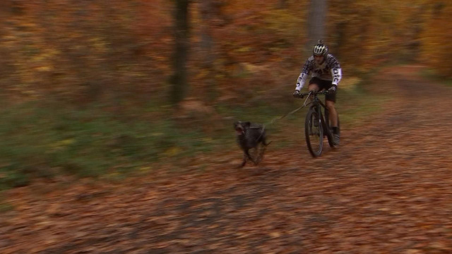Bike-Joering : un Liégeois vice-champion du monde 