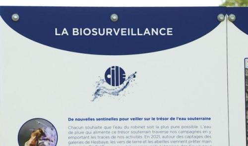 Biosurveillance pour les captages de la CILE