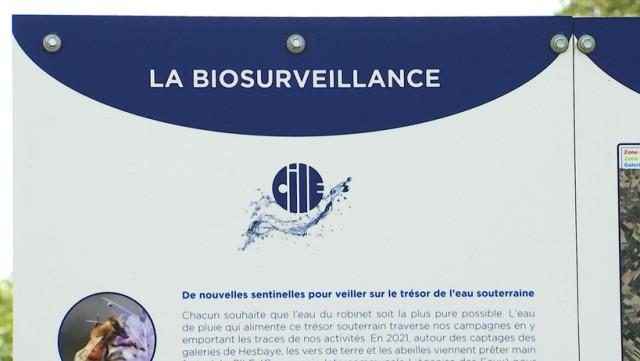 Biosurveillance pour les captages de la CILE
