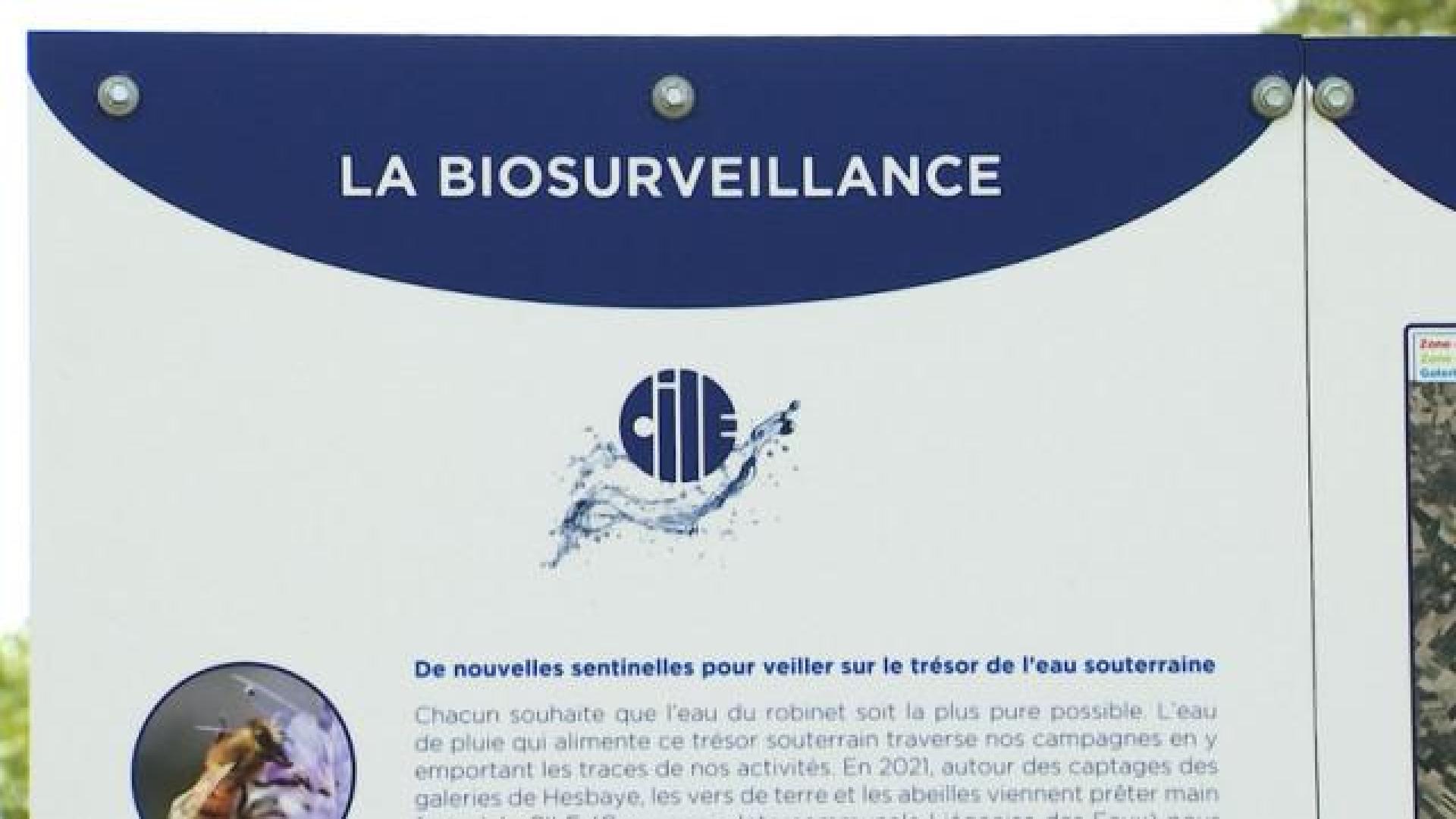 Biosurveillance pour les captages de la CILE