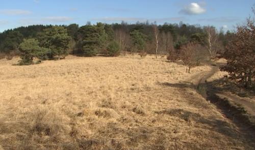 Bois-les-dames, bientôt une réserve naturelle