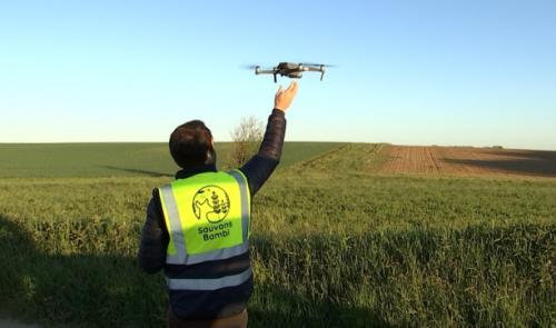 Quand des drones volent au secours de Bambi