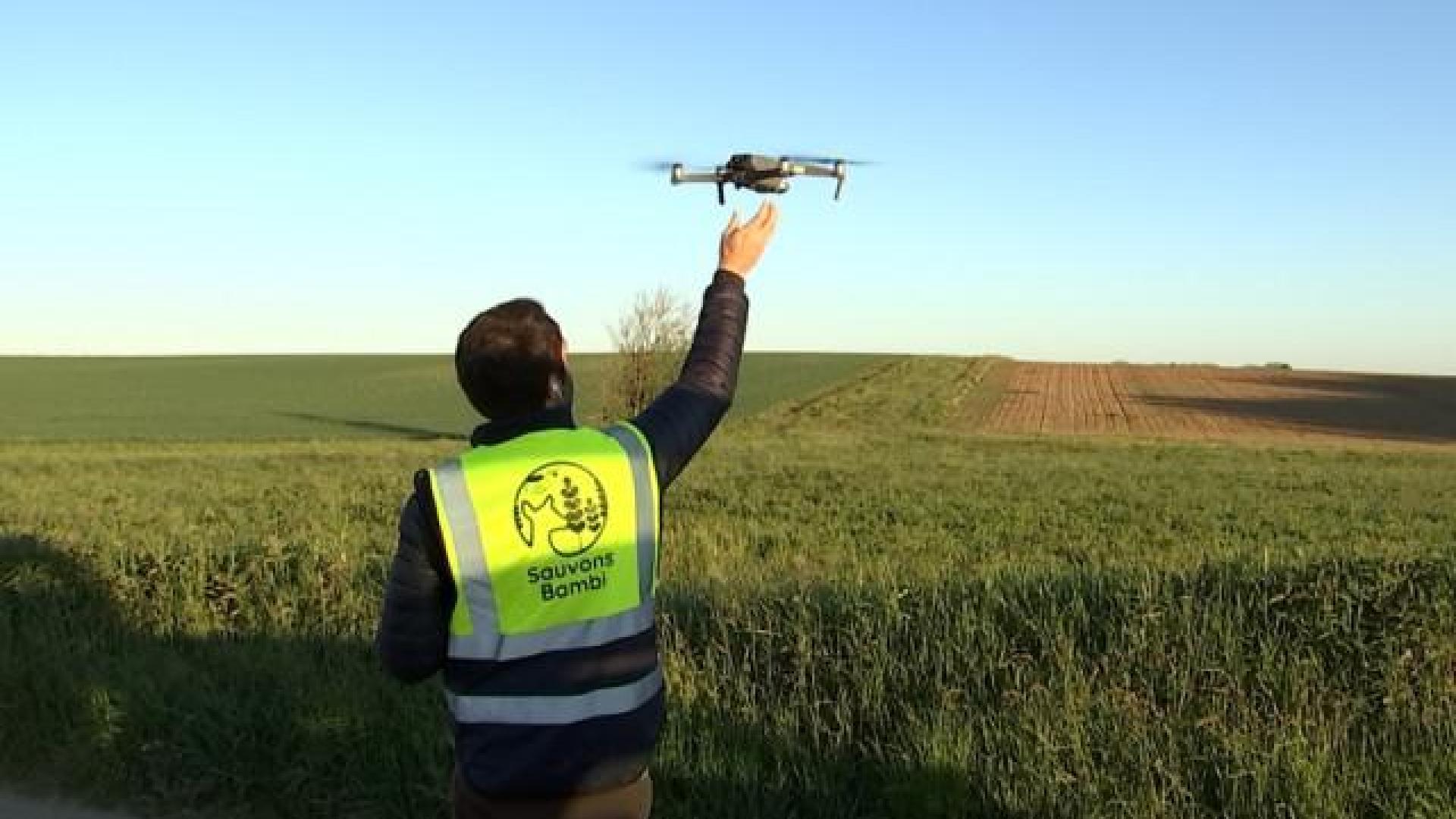 Quand des drones volent au secours de Bambi