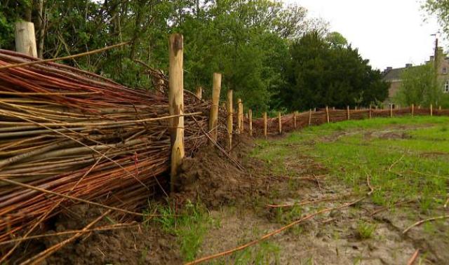 Braives: des fascines en saule contre les coulées de boue
