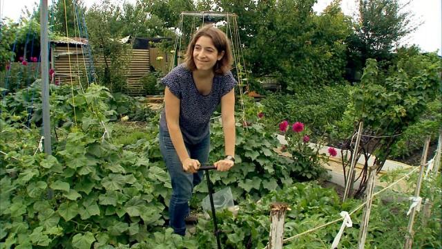 Bressoux : les jardins potagers du Logis social pollués 