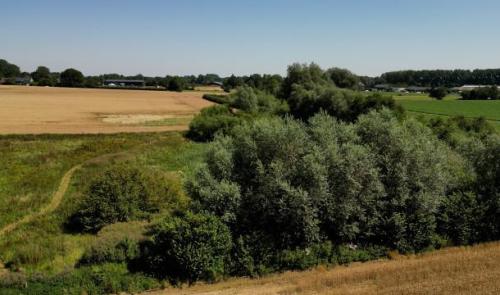Burdinne: Une réserve naturelle en zone humide à Hannêche
