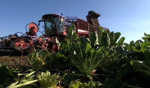 Campagne Betteravière: visite de la sucrerie de Wanze