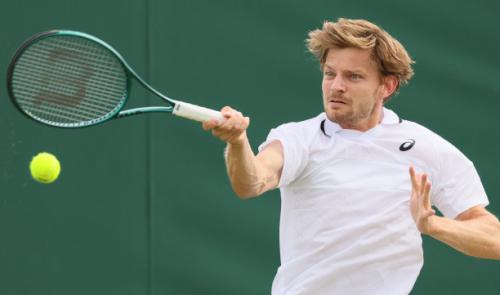 Challenger 100 de Cary : David Goffin qualifié pour les demi-finales