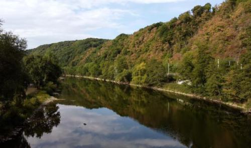 Près de 80% des Wallons veulent plus de forêts en libre évolution, selon une enquête liégeoise
