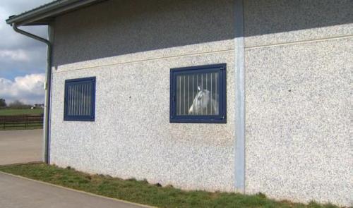 Chevaux en confinement: épidémie de rhinopneumonie équine 