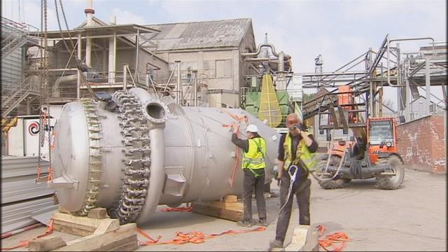 Chicorée : Beneo Orafti investit dans une nouvelle ligne de purification