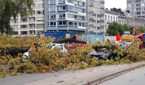 Chute de branche d'arbre à Liège, un blessé léger