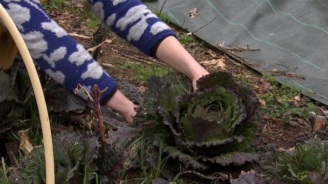 Ciplet: des légumes de saison en autocueillette  