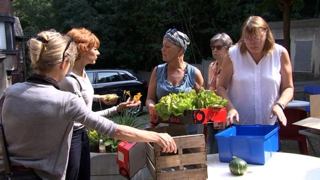 Collectes de dons : elles fonctionnent encore en de nombreux lieux 