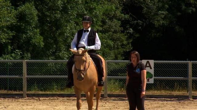 Concours d'équitation adaptée 