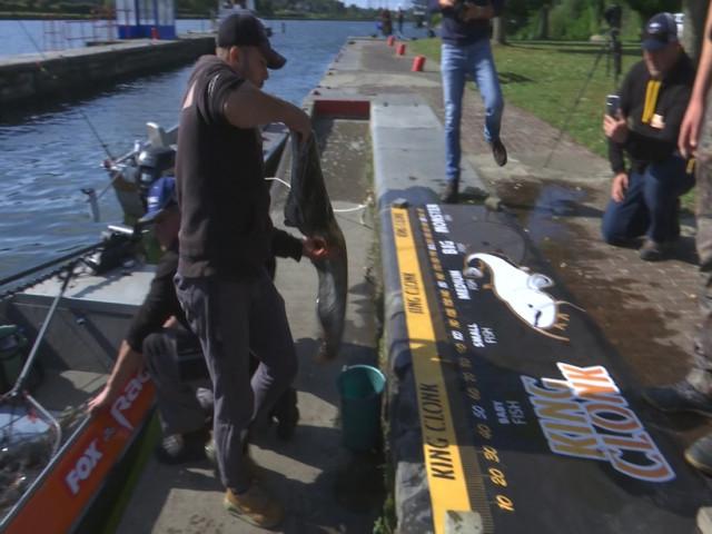 Concours de pêche au silure: cela se joue au centimètre près! 