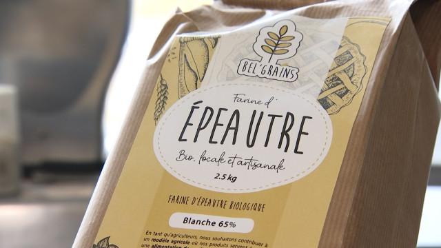 Coopérer pour combler le manque de farine