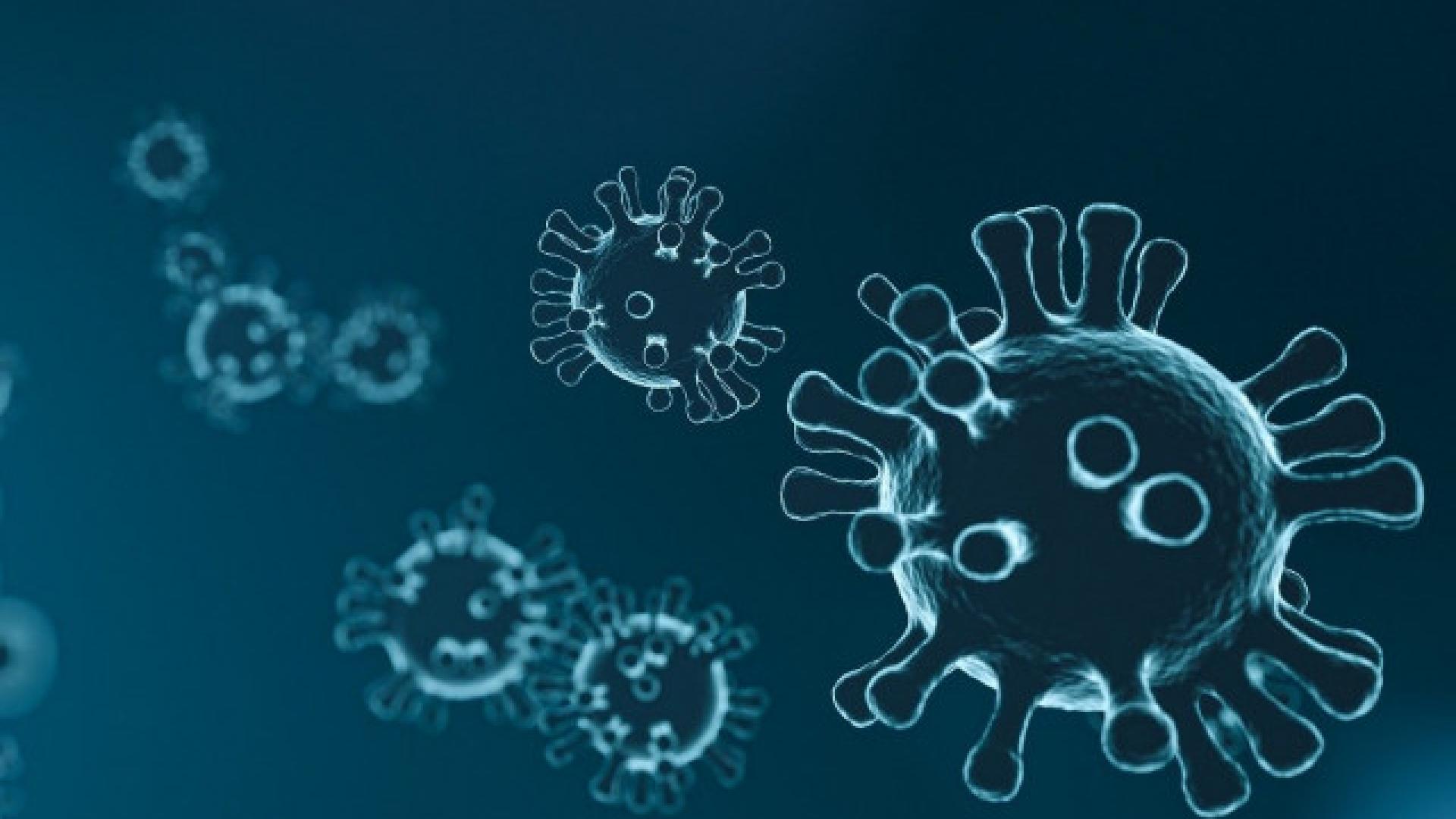 Coronavirus : le nombre de nouvelles infections augmente de 11%