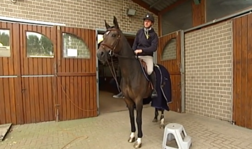 Coup dur pour  Grégory Wathelet : son cheval souffre d'une fracture