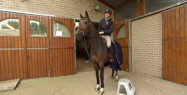 Coup dur pour  Grégory Wathelet : son cheval souffre d'une fracture