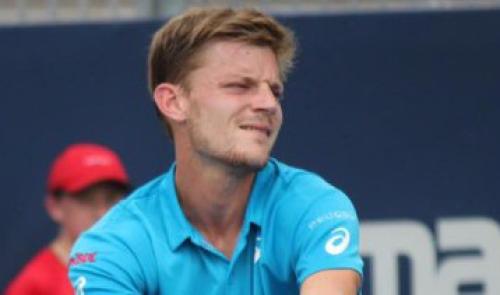 Coupe Davis : Goffin forfait