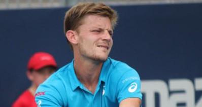 Coupe Davis : Goffin forfait