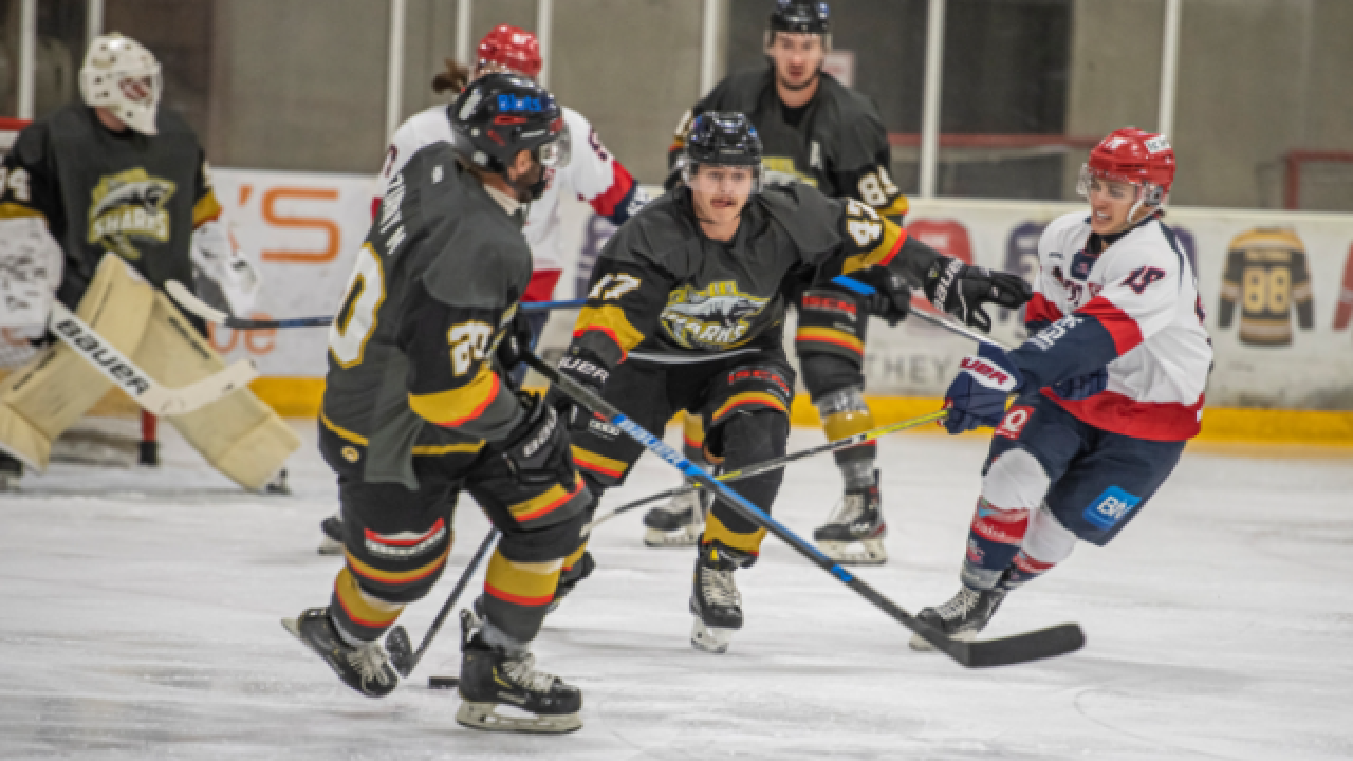 Coupe : les Bulldogs s'offrent une 9e finale consécutive