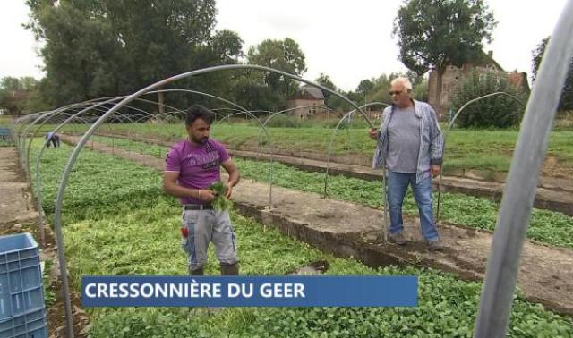 Cressonnière d'Omal, la plus grande de Wallonie