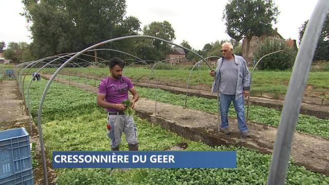 Cressonnière d'Omal, la plus grande de Wallonie