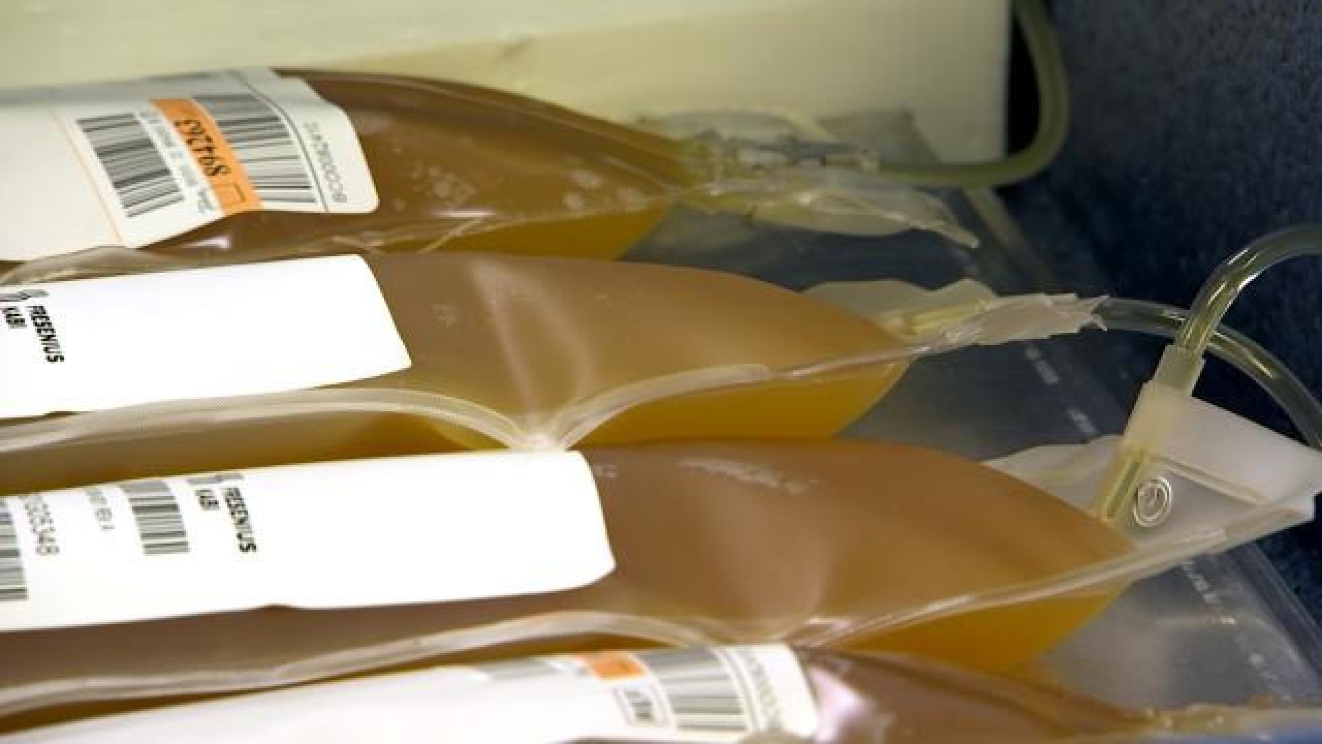 Croix-Rouge : à la recherche de donneurs de plasma