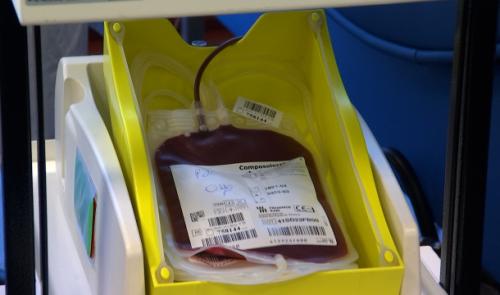 Croix-Rouge : appel urgent aux dons de sang